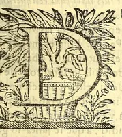 Picture 5 of 7 from Thomasiada al sol de la iglesia, y su doctor santo Thomas de Aquino. (1667), leaf 17