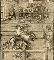 Picture 4 of 16 from Thournier, Kampff unnd Ritterspiel, inn Eroberunge aines gefährlichenn Thürns unnd zauberer Schloss : auch der abentheurlichen Insell unnd Güldinn Schwerdts zu Ehren dem hochgebornen durchleuchtigen Fürsten und Herrn, Herrn Philipsen, Princen auss Hispanien, zu Bintz und Marienberg ritterlich gehalten (1550), leaf 13