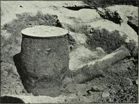 An illustration from The thousand and one churches (1919)