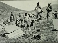 An illustration from The thousand and one churches (1919)