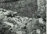 An illustration from The thousand and one churches (1919)