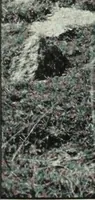 An illustration from The thousand and one churches (1919)