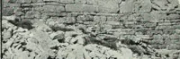 An illustration from The thousand and one churches (1919)