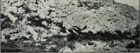 An illustration from The thousand and one churches (1919)