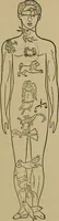 An illustration from Three books of occult philosophy or magic (1898)