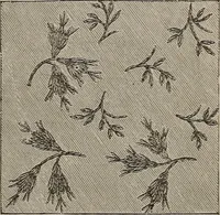 An illustration from Three hundred decorative and fancy articles for presents, fairs, etc., etc. ; with directions for making : and nearly one hundred decorative designs (1885)