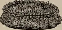 An illustration from Three hundred decorative and fancy articles for presents, fairs, etc., etc. ; with directions for making : and nearly one hundred decorative designs (1885)