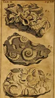 An illustration from Three physico-theological discourses : concerning: I. The primitive chaos and creation of the world ; II. The general deluge, its causes and effects ; III. The dissolution of the world and future conflagration .. (1713)