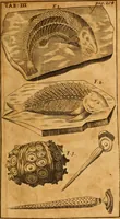 An illustration from Three physico-theological discourses : concerning: I. The primitive chaos and creation of the world ; II. The general deluge, its causes and effects ; III. The dissolution of the world and future conflagration .. (1713)