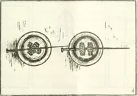 An illustration from Three short courses in home making (1917)