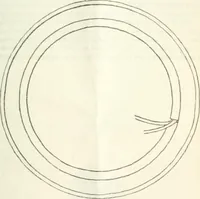 An illustration from Three short courses in home making (1917)