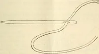 An illustration from Three short courses in home making (1917)