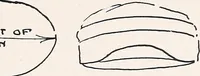 An illustration from Thrift clothing. by Mrs. Anna Hedges Talbot ... with contributions by Mettie B. Hills ... Laura M. Weisner (1918)