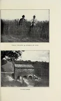 Picture 14 of 14 from Through Angola : a coming colony (1922), leaf 449