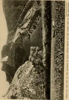An illustration from Through the Grand Canyon from Wyoming to Mexico (1914)