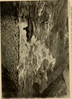 An illustration from Through the Grand Canyon from Wyoming to Mexico (1914)