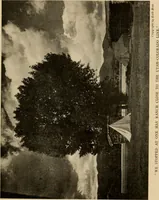 Picture 12 of 63 from Through the Grand Canyon from Wyoming to Mexico (1914), leaf 90