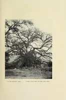 Picture 2 of 12 from Through the heart of Africa : being an account of a journey on bicycles and on foot from Northern Rhodesia, past the great lakes, to Egypt, undertaken when proceeding home on leave in 1910 (1912), leaf 63