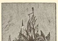 Picture 5 of 17 from Through the Kalahari Desert; a narrative of a journey with gun, camera, and note-book to Lake N'gami and back (1886), leaf 161