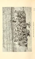 Picture 11 of 17 from Through the Kalahari Desert; a narrative of a journey with gun, camera, and note-book to Lake N'gami and back (1886), leaf 412