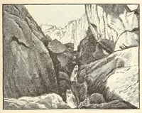 Picture 14 of 17 from Through the Kalahari Desert; a narrative of a journey with gun, camera, and note-book to Lake N'gami and back (1886), leaf 461