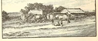 An illustration from Through the Kalahari Desert; a narrative of a journey with gun, camera, and note-book to Lake N'gami and back (1886)