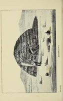 An illustration from Through Matabeleland: the record of a ten months' trip in an ox-wagon through Mashonaland and Matabeleland (1893)