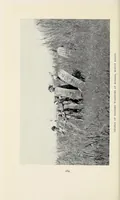 An illustration from Through Uganda to Mount Elgon (1909)