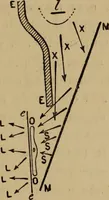 An illustration from Thèses présentées a la Faculté des Sciences de Paris pour obtenir le grade de docteur ès sciences physiques (1900)