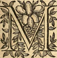 Picture 35 of 104 from [Théâtre de Rotrou] (1636), leaf 108