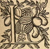 Picture 36 of 104 from [Théâtre de Rotrou] (1636), leaf 110