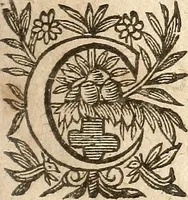 Picture 37 of 104 from [Théâtre de Rotrou] (1636), leaf 114