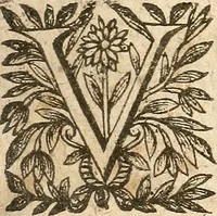Picture 40 of 104 from [Théâtre de Rotrou] (1636), leaf 130