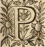 Picture 43 of 104 from [Théâtre de Rotrou] (1636), leaf 140