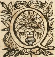 Picture 48 of 104 from [Théâtre de Rotrou] (1636), leaf 156