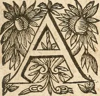 Picture 55 of 104 from [Théâtre de Rotrou] (1636), leaf 178