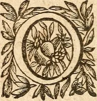 Picture 56 of 104 from [Théâtre de Rotrou] (1636), leaf 183