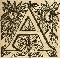 An illustration from [Théâtre de Rotrou] (1636)
