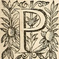 Picture 8 of 104 from [Théâtre de Rotrou] (1636), leaf 22