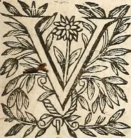 Picture 66 of 104 from [Théâtre de Rotrou] (1636), leaf 234
