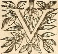 Picture 79 of 104 from [Théâtre de Rotrou] (1636), leaf 311