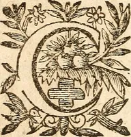 Picture 81 of 104 from [Théâtre de Rotrou] (1636), leaf 321