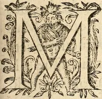 Picture 86 of 104 from [Théâtre de Rotrou] (1636), leaf 352