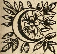 Picture 88 of 104 from [Théâtre de Rotrou] (1636), leaf 354