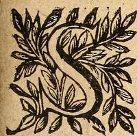 Picture 90 of 104 from [Théâtre de Rotrou] (1636), leaf 370