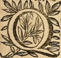 Picture 95 of 104 from [Théâtre de Rotrou] (1636), leaf 404