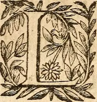 Picture 98 of 104 from [Théâtre de Rotrou] (1636), leaf 463