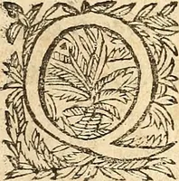 Picture 102 of 104 from [Théâtre de Rotrou] (1636), leaf 486