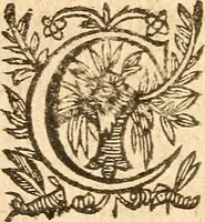 An illustration from [Théâtre de Rotrou] (1636)