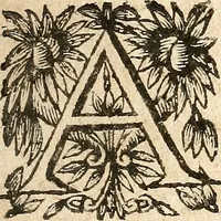 Picture 22 of 104 from [Théâtre de Rotrou] (1636), leaf 64